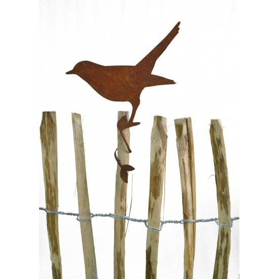 Stehende Amsel auf Zaun montierte Rostdekoration