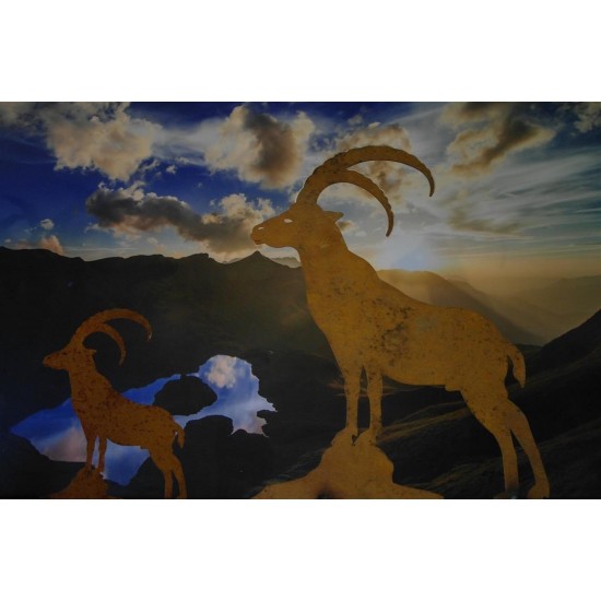 Allgäu Deko Steinbock 60 cm groß zum Stellen H:  60 cm
B:  46 cm
mit Querstäben zum stellen
