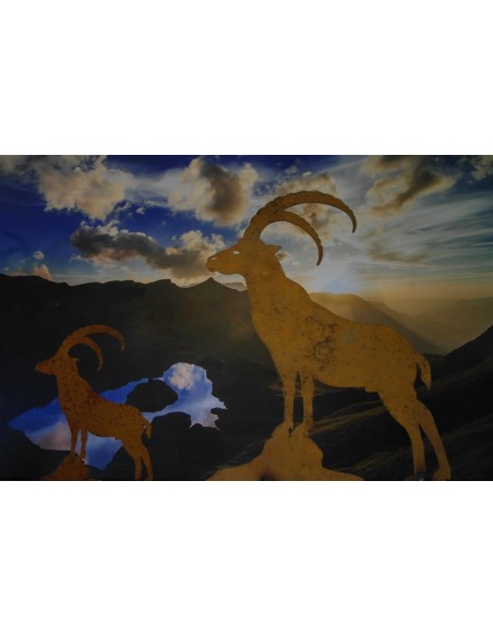 Allgäu Deko Steinbock 60 cm groß zum Stellen H:  60 cm
B:  46 cm
mit Querstäben zum stellen
 Allgäu Deko Steinbock 60 cm groß zum Stellen H:  60 cm
B:  46 cm
mit Querstäben zum stellen