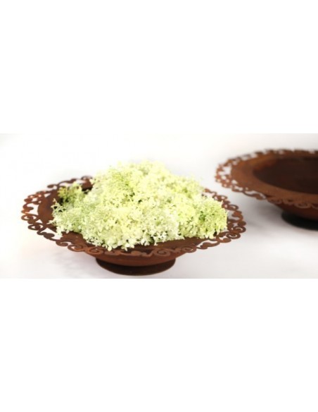 Schale Rost für Blumen