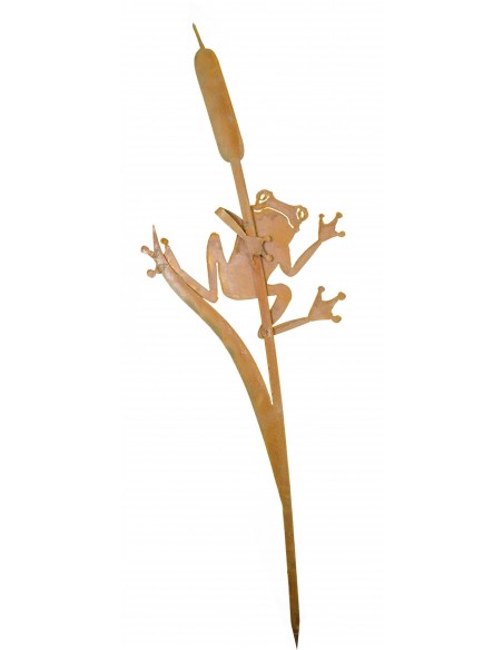 Frosch am Schilfkolben Frosch am Schilfkolben