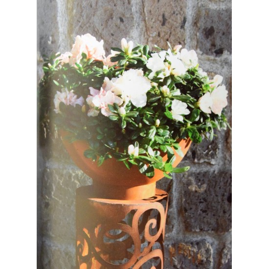 Pflanzschale Halber kreis