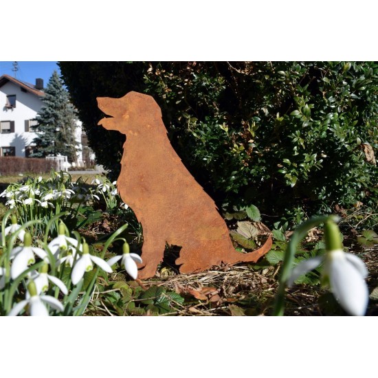Gartendeko Rost Hund mit Schneeglöckchen