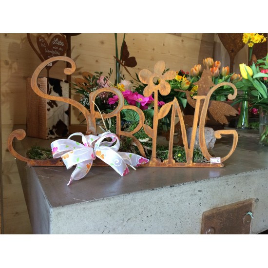 Schriftzug Spring