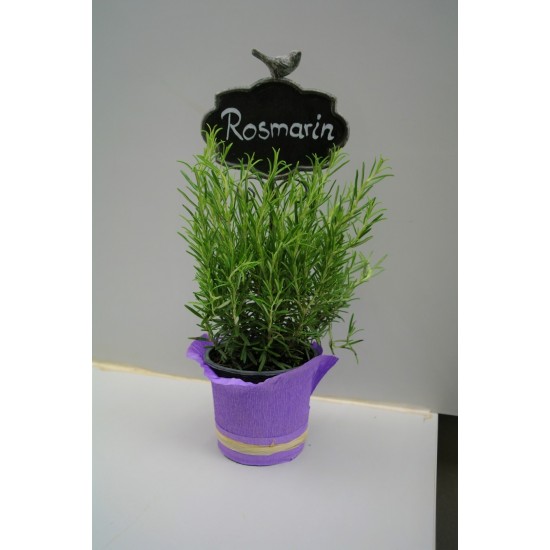 Steckschild für Kräuter z.b. Rosmarin