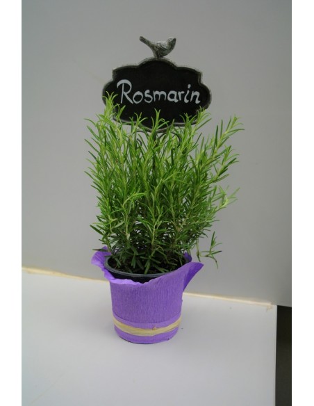 Steckschild für Kräuter z.b. Rosmarin