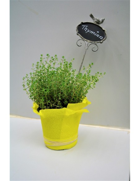 Kräuterschild zum beschreiben