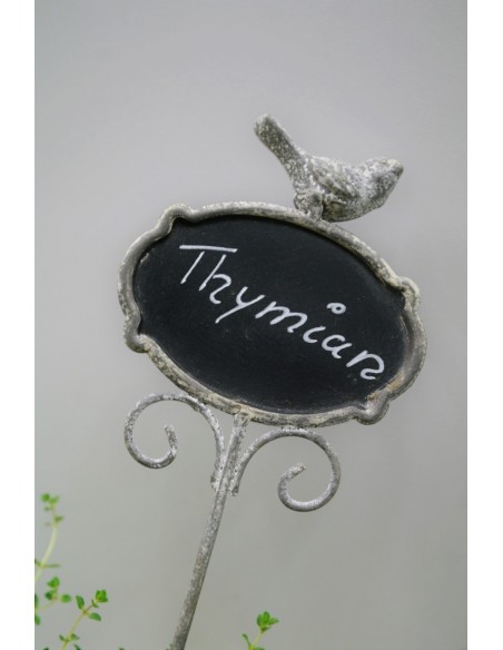 Kräuterschild Thymian beschreibbar