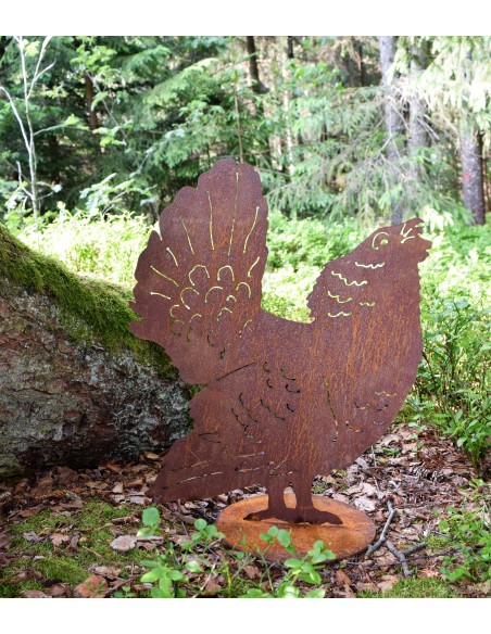 Imposanter Auerhahn auch für den Landhausgarten