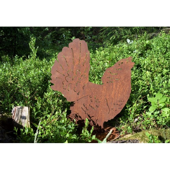 Auerhahn groß, Hinkucker im Naturgarten