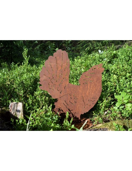 Auerhahn groß, Hinkucker im Naturgarten