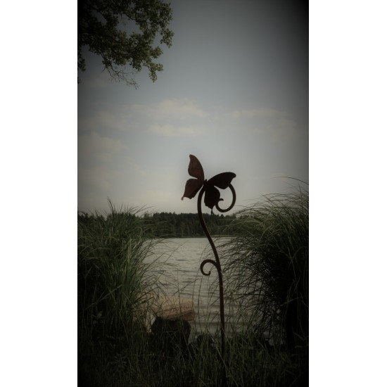 Schmetterling am See