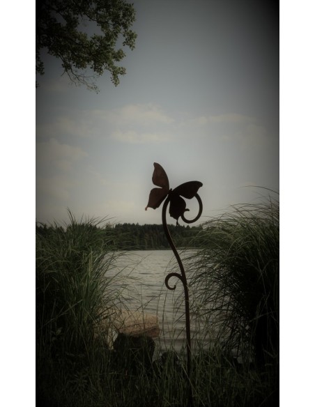 Schmetterling am See