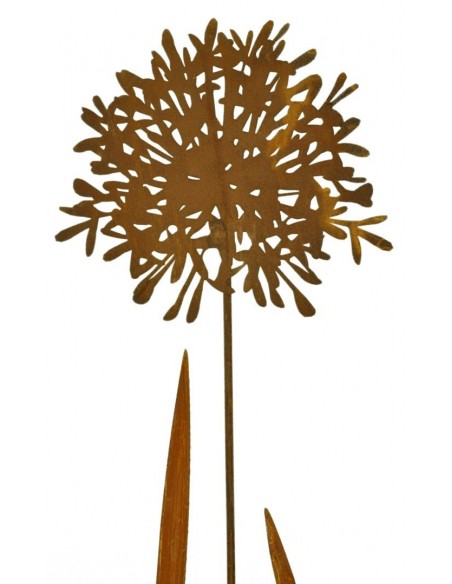 Agapanthus Detailaufname oben