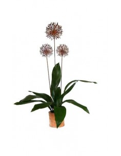 Edelrost Blumenstecker Allium Gartendeko rostig Metall Roststecker Rostblume Pusteblume 2