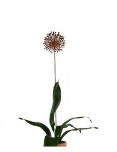 Edelrost Blumenstecker Allium Gartendeko rostig Metall Roststecker Rostblume Pusteblume 2