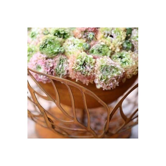 Hortensien-Halbkugel 40 cm Ø - mit dichter Innenschale Ø 25 cm Rostdeko  rostig Rostschale Pflanzschale Dekoschale