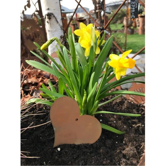 Rost Herz z. Aufhängen Gr. M, aus Metall zur Deko in Wohnraum, Balkon, Terrasse, Garten und zum Verschenken