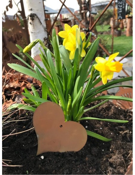 Rost Herz z. Aufhängen Gr. M, aus Metall zur Deko in Wohnraum, Balkon, Terrasse, Garten und zum Verschenken