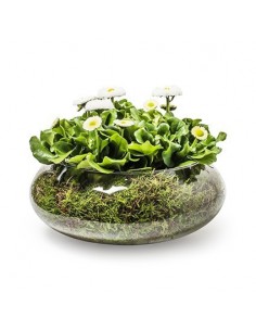 Glasvase Bowl "float"  Höhe 10 cm, Durchmesser 25 cm