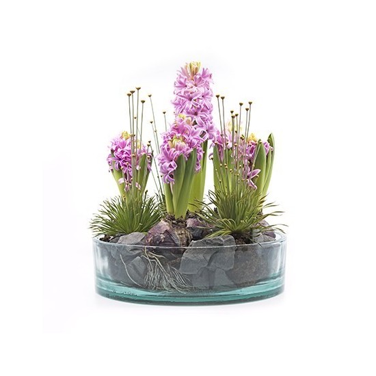 Glasschale "sill", Höhe 7cm, Durchmesser 26 cm