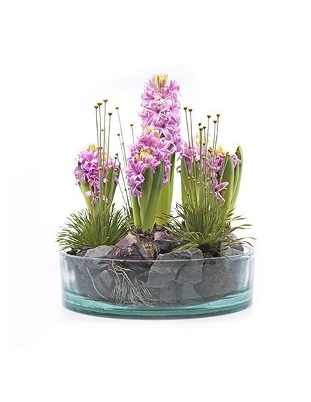 Glasschale "sill", Höhe 7cm, Durchmesser 26 cm