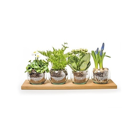 Dekoratives Holztablett mit 4 Gläsern, Länge 46 cm Tischdeko für draußen Pflanzglas Windlicht