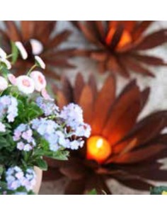 sonstige Blumen Edelrost Chrysantheme Ø 50 cm Teelichthalter auf Platte Chrysantheme zum Aufbiegen
Ø aufgebogen bis 50cm
Höhe  2