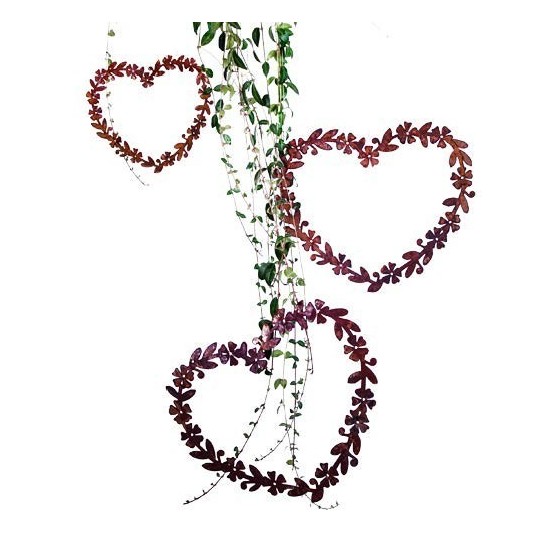 Edelrost Herz Immergrün, Durchmesser 20  cm