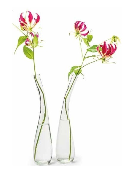 Glas Vase "Eva", Höhe 43 cm Glas Vase "Eva", Höhe 43 cm