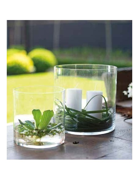 Glas -monza- Zylinder H 24 cm Ø 25 cm