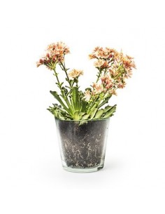 Eco Glastopf für Blumen aus Recyclingglas Modell Laura Glasvase Geschenkidee Dekoidee