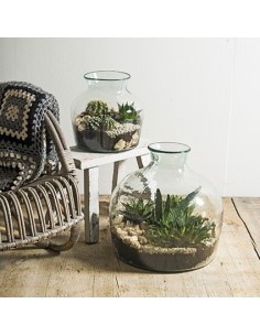 Eco Glastopf Terrarium Klein Höhe 25 cm  2