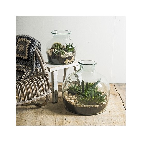 Eco Glastopf Terrarium Klein Höhe 25 cm 