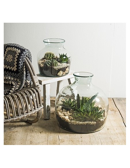 Eco Glastopf Terrarium groß Höhe 35 cm  Eco Glastopf Terrarium groß Höhe 35 cm
