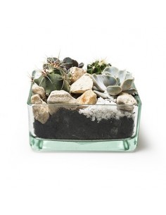 Eco Glasschale Tangle 12,5 x 12,5 cm