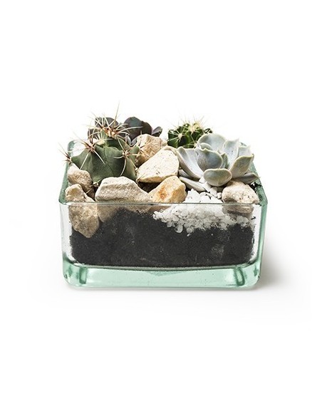  Eco Glasschale Tangle 12,5 x 12,5 cm