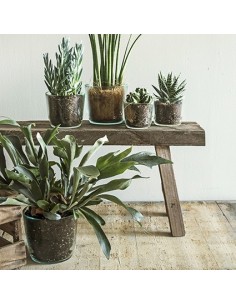 Eco Glastopf Vince Höhe 16,5 cm Deko Glas Blumenvase aus nachhaltigem Glas Recyclingdeko 2