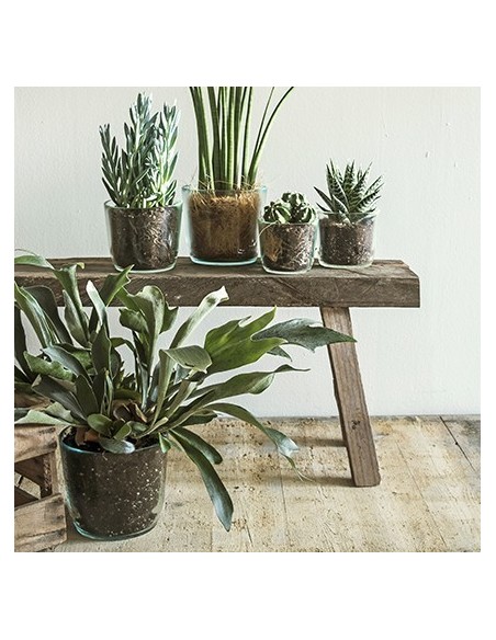 Eco Glastopf Vince Höhe 16,5 cm Deko Glas Blumenvase aus nachhaltigem Glas Recyclingdeko