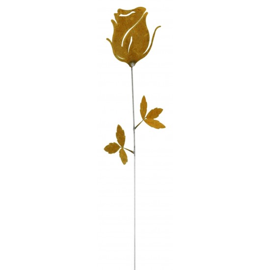 Rose edelrost  Stab 65 cm 