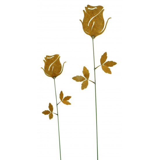 Rose edelrost  Stab 65 cm 