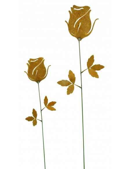 Rose edelrost  Stab 65 cm 