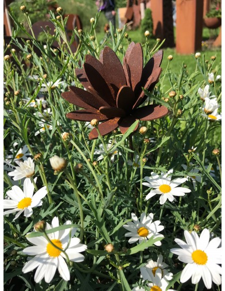 Chrysantheme Mini Gartenstecker bis 12 cm Ø