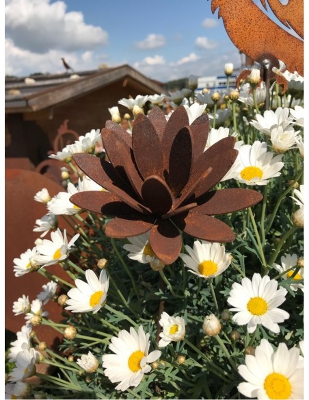 Chrysantheme Mini Gartenstecker bis 12 cm Ø 