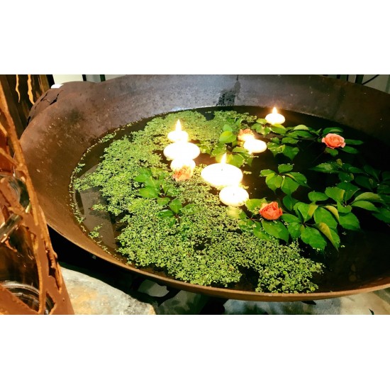 runde Feuerschale als Schwimmschale verwendet