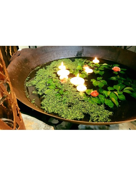 runde Feuerschale als Schwimmschale verwendet