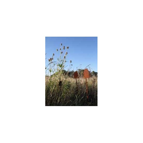 Gartenstecker Blume Wild Distel 80 cm hoch + 10 cm Stecker | groß