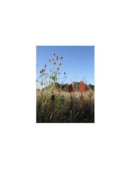 Gartenstecker Blume Wild Distel 80 cm hoch + 10 cm Stecker | groß