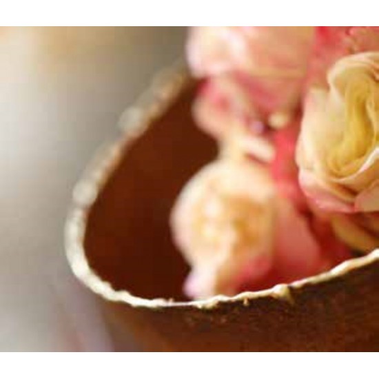 Gold Deko mit Edelrost Pflanzschale halbrund mit Goldrand unten mit kurzem Rohr