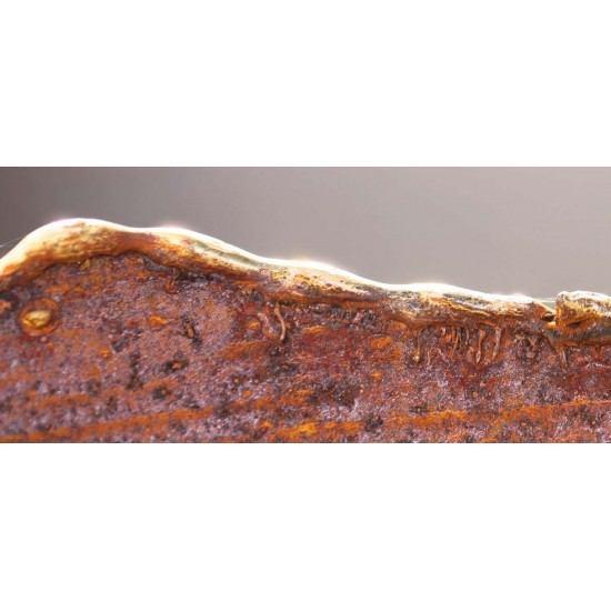 Ripple Schale mit Goldrand aus Messing Durchmesser 27 cm